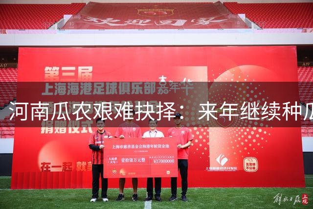 河南瓜农艰难抉择：来年继续种瓜还是转型？